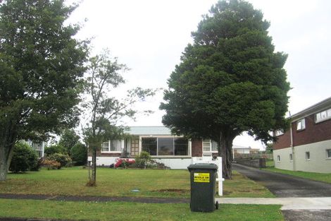 Photo of property in 17 Paterson Avenue, Pukekohe, 2120