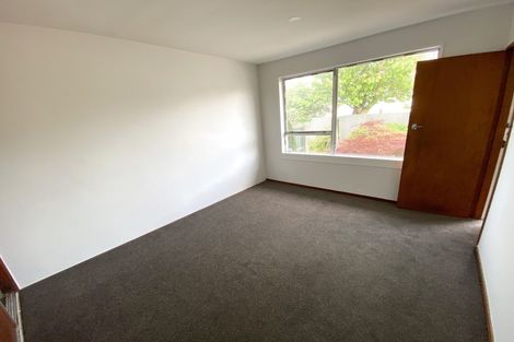 Photo of property in 2/467 Tuam Street, Phillipstown, Christchurch, 8011