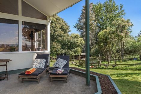 Photo of property in 113 Hogg Road, Rotoma, Whakatane, 3192