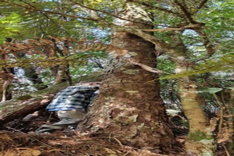 Photo of property in 1a Riverside Terrace, Westport, 7892