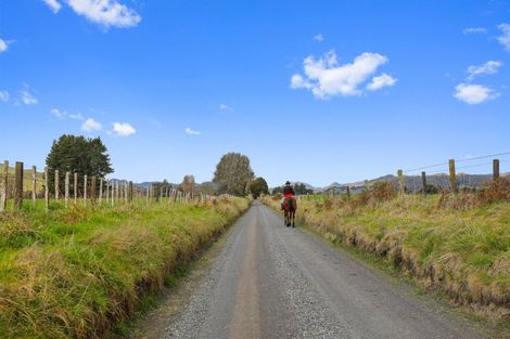 Photo of property in 205 Te Rena Road, Kakahi, 3989