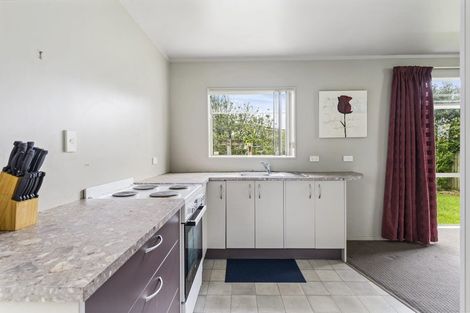 Photo of property in 17 Roick Parade, Glen Eden, Auckland, 0602