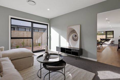 Photo of property in 114 Churcher Street, Feilding, 4702