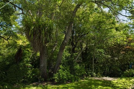 Photo of property in 11 Kingsley Street, Whataupoko, Gisborne, 4010