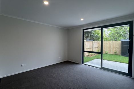 Photo of property in 121 Fitzroy Avenue, Fitzroy, Hamilton, 3206