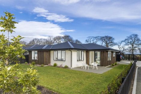 Photo of property in 65 Malone Crescent, Richmond, 7020