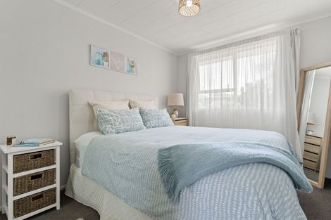 Photo of property in 49b Mcmaster Street, Greytown, 5712