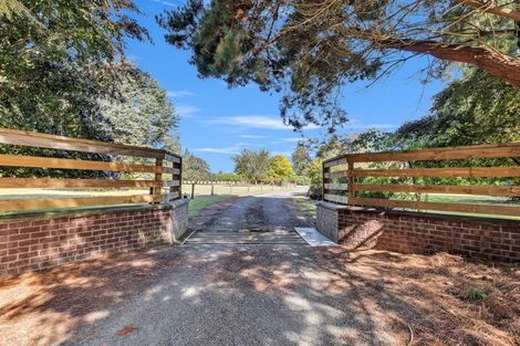 Photo of property in 3 Albion Street, Lumsden, 9793