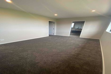 Photo of property in 24 Bendridge Street, Flat Bush, Auckland, 2019