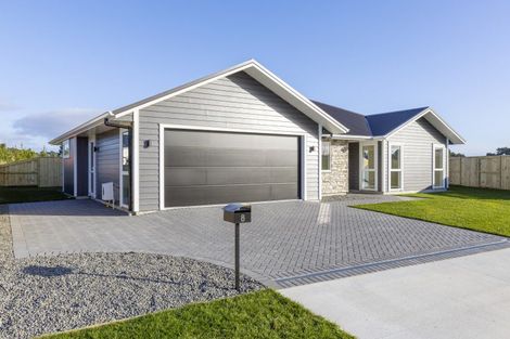 Photo of property in 8 Neinei Place, Wharewaka, 3330