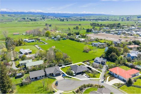 Photo of property in 14 Brooker Place, Waipukurau, 4200