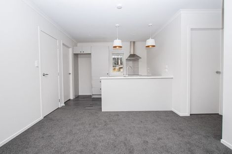Photo of property in 18u4 Rothwell Street, Dinsdale, Hamilton, 3204