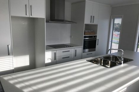 Photo of property in 17 Materawaho Way, Pyes Pa, Tauranga, 3112