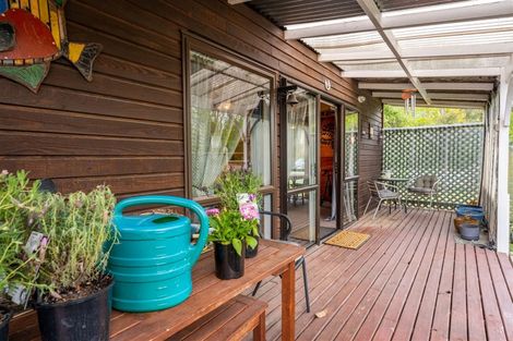 Photo of property in 44 Mckenzie Street, Geraldine, 7930