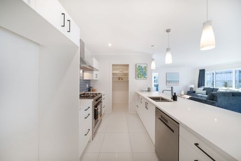 Photo of property in 5 Belize Grove, Grenada Village, Wellington, 6037