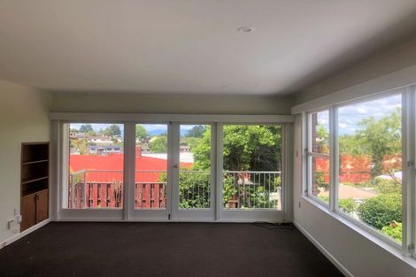 Photo of property in 17 Vista Terrace, Hillcrest, Hamilton, 3216