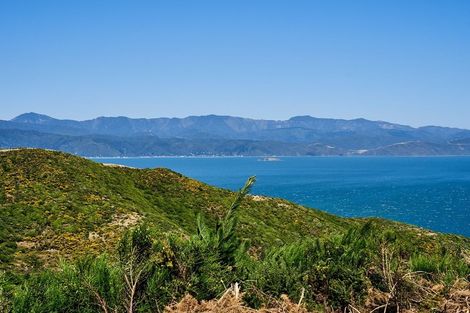 Photo of property in 17 Grumman Lane, Newlands, Wellington, 6037