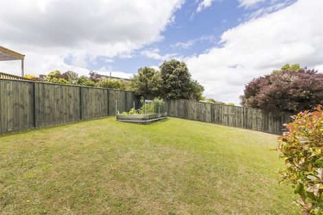 Photo of property in 62 Fraser Drive, Feilding, 4702