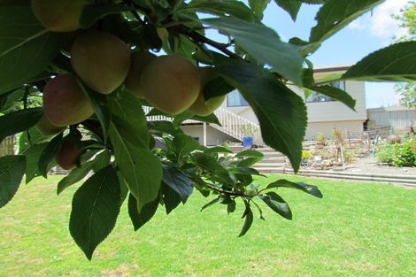 Photo of property in 14b Seddon Street, Te Puke, 3119