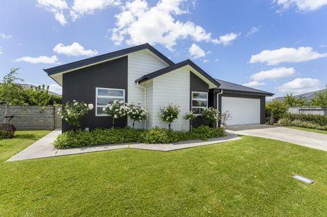Photo of property in 14 Cherry Place, Feilding, 4702