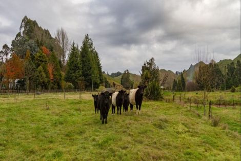 Photo of property in 298 Oio Road, Owhango, 3989