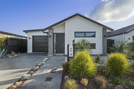 Photo of property in 21 Naismith Street, Chartwell, Hamilton, 3210