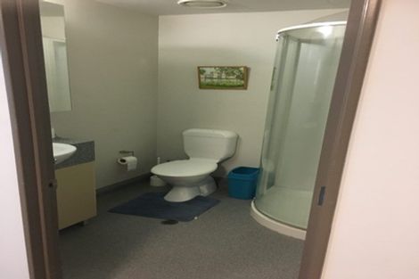Photo of property in Dual Apartments, 108/142u Vivian Street, Te Aro, Wellington, 6011