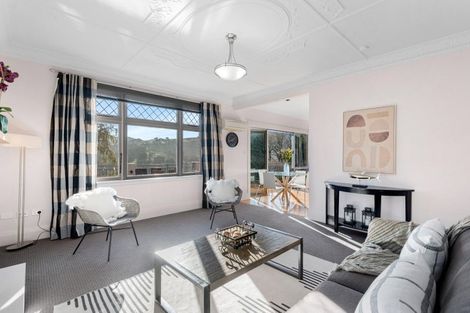 Photo of property in 113 Signal Hill Road, Opoho, Dunedin, 9010