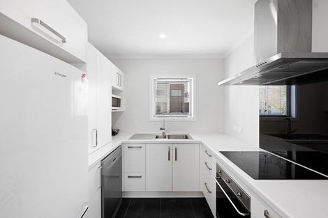 Photo of property in 66 Tennille Street, Flagstaff, Hamilton, 3210
