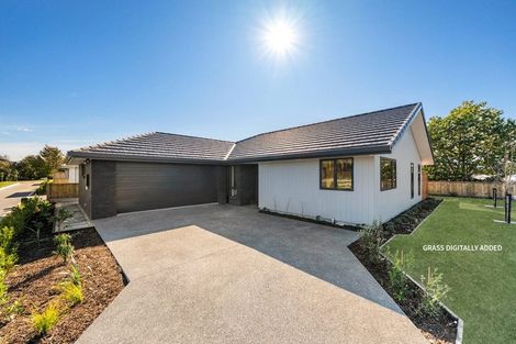 Photo of property in 11 Magnolia Drive, Springlands, Blenheim, 7201