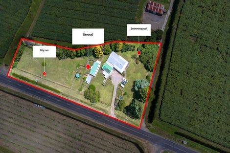 Photo of property in 700 Te Matai Road, Te Puke, 3188