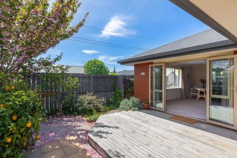 Photo of property in 113 Charles Street, Blenheim, 7201