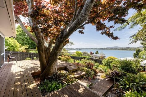 Photo of property in 53 Hampton Terrace, Parkvale, Tauranga, 3112