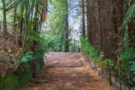 Photo of property in 288 Oropi Gorge Road, Oropi, Tauranga, 3173