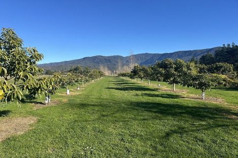 Photo of property in 77 Patons Rock Road, Patons Rock, Takaka, 7182