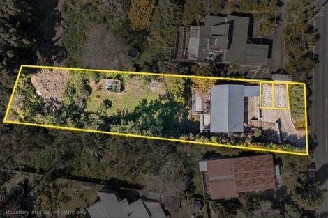 Photo of property in 110 Candia Road, Henderson Valley, Auckland, 0614