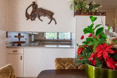 Photo of property in 76 Guy Street, Dannevirke, 4930