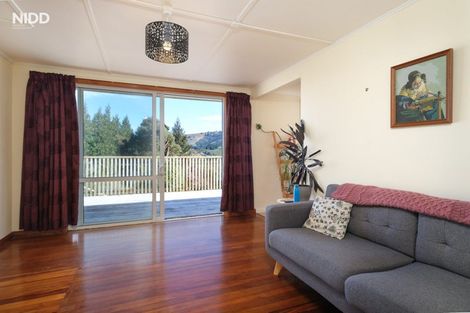Photo of property in 53 Hillary Street, Liberton, Dunedin, 9010