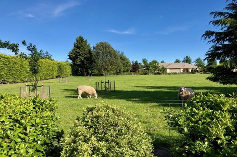 Photo of property in 53 Mclaughlins Road, Darfield, 7571