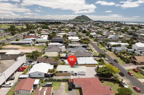 Photo of property in 66 Campbell Road, Mount Maunganui, 3116