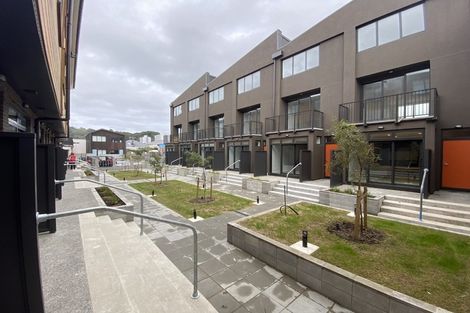 Photo of property in Aniva Terrace, 13 Arney Street, Newtown, Wellington, 6021