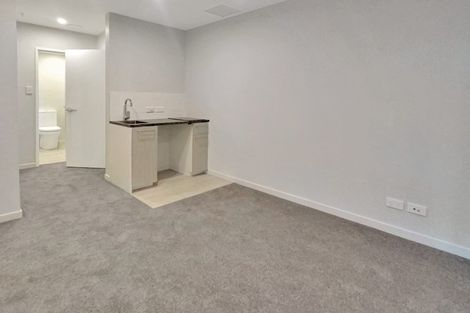 Photo of property in Vsp South, 305/168u Victoria Street, Te Aro, Wellington, 6011