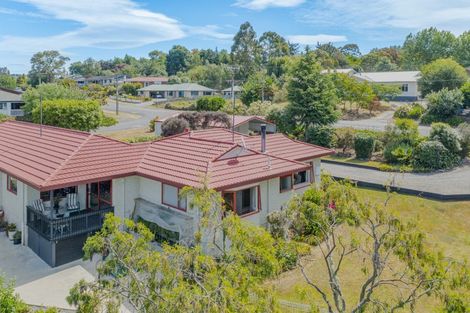 Photo of property in 41 Domain Road, Waipawa, 4210