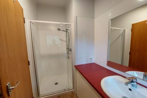 Photo of property in 123 Coromandel Street, Newtown, Wellington, 6021