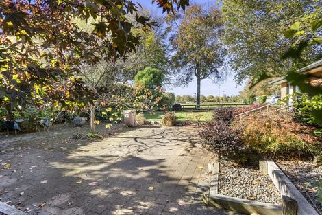 Photo of property in 11 Maranatha Way, Cambridge, 3434