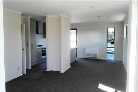 Photo of property in 165 Petrie Street, Richmond, Christchurch, 8013