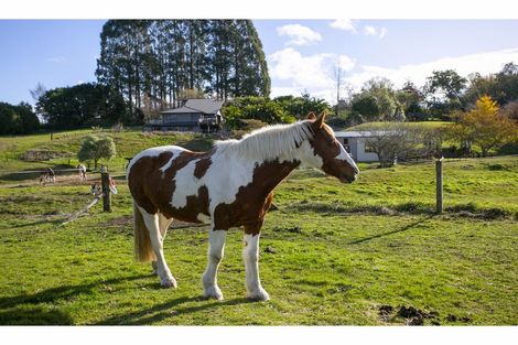 Photo of property in 864 Whangamata Road, Kinloch, Taupo, 3377