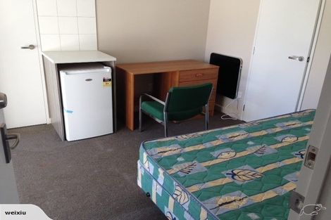 Photo of property in 17 Suffolk Street, Phillipstown, Christchurch, 8011
