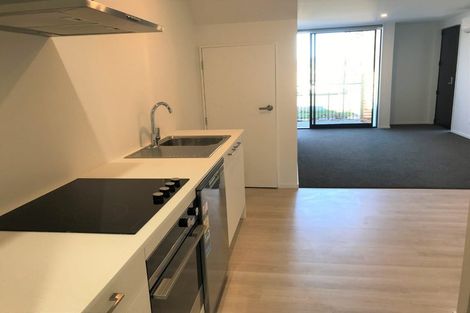 Photo of property in 109a Canon Street, Edgeware, Christchurch, 8013