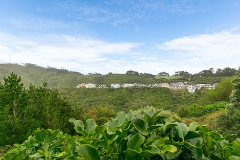 Photo of property in 8 Lingard Grove, Brooklyn, Wellington, 6021